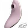 Double stimulateur Vulva Lover 1 Violet - Satisfyer