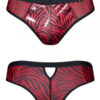 Slip type brésilien zébré rouge et noir - Regnes – Image 2