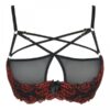 Soutien-gorge dentelle V-10021 - Axami – Image 4